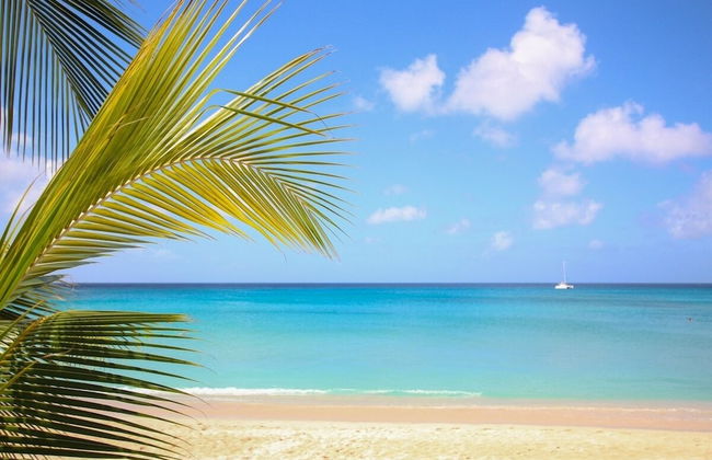 Chateau Monique by Bluescape - Foto 34