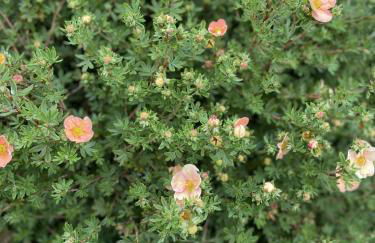 Galloway Farmstay Claunch - Foto 28