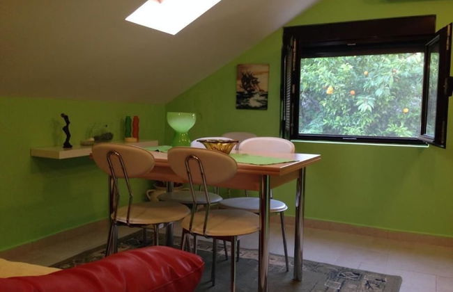 Apartments Matkovic - Foto 15