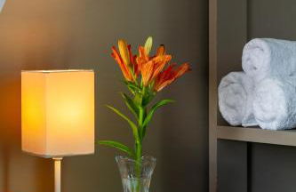 Calamar Flats Paraty - Foto 57