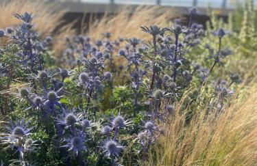 The Kite Shack - Foto 18