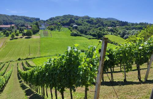 Ruralna kuća za odmor CVEPUK - Foto 46