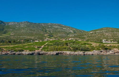 Holiday Home Biserka - Photo 34