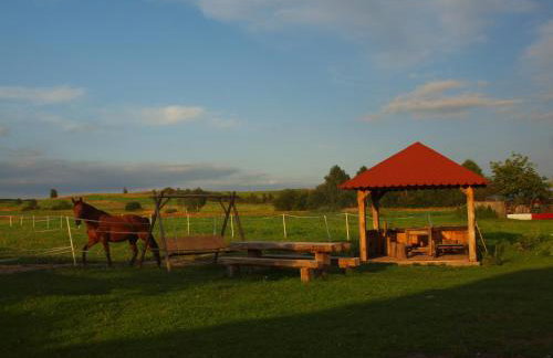 Wakacje u Babci Krysi - Foto 10