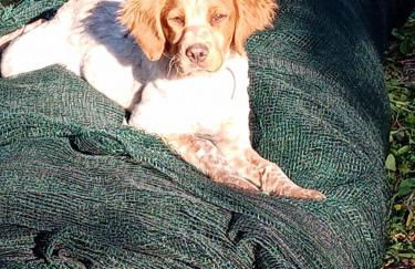 Agrisport Cà di Cuni - Foto 66