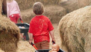 De Heuhoff-Hedwigsruh - Foto 4