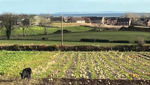 The Boathouse - Foto 3