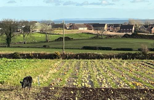 The Boathouse - Foto 3