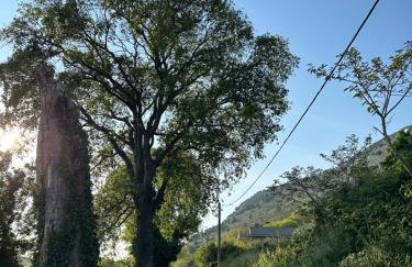 Villa Mime - Photo 41