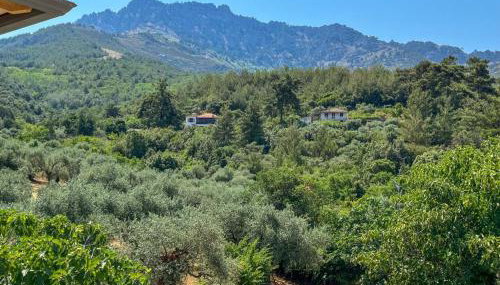 Villa Ftery - Foto 3