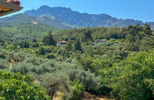 Villa Ftery - Foto 3