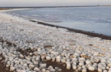 Orzechowy Dworek - Foto 24