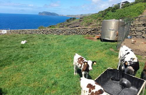 Casa da Avó Couta - Photo 26