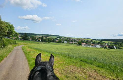 Großes neues Appartement Mein Burgwaldtraum - Foto 33