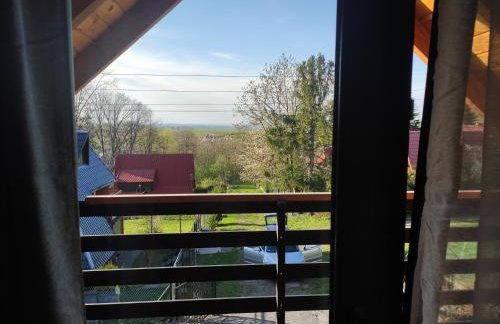 Kwietna łąka na szlaku - Foto 32