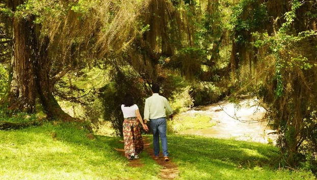 Fazenda Esperança Excursion - Foto 3