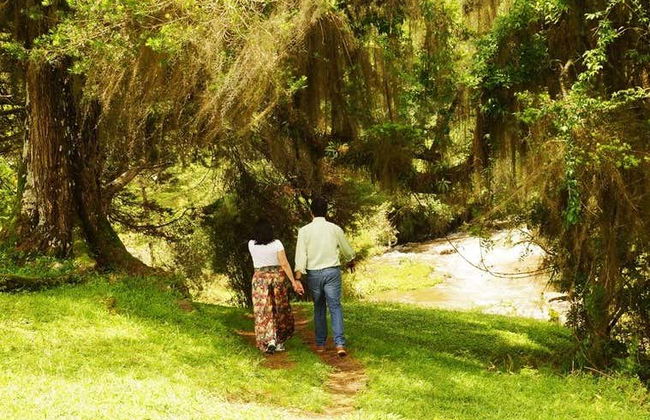 Excursión a Fazenda da Esperança - Foto 3