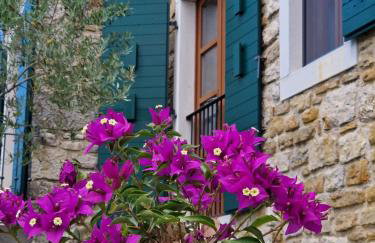 Villa Castelletto Parenzana - Foto 18