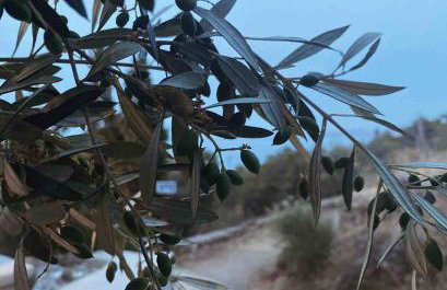 Agreli House - Foto 24