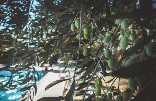 Case Vacanza Podere Risoino - Foto 24