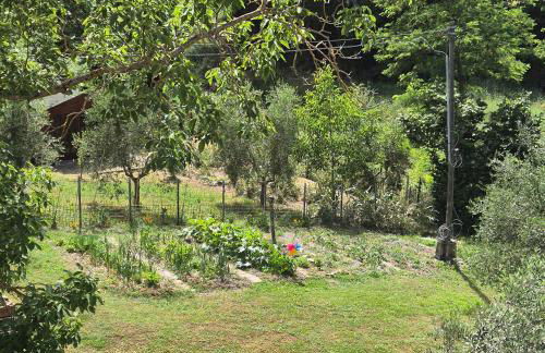 La Rosa Rossa - Foto 28