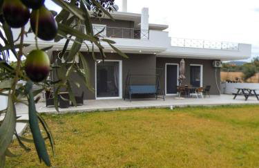 MG Villa Kineta - Foto 50