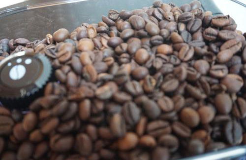 Die ganz besondere Ferienwohnung - Foto 13