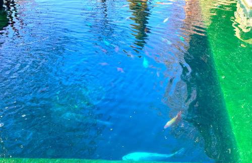 Colchester City Luxury With Free Parking and 5 G WIFI - Foto 41