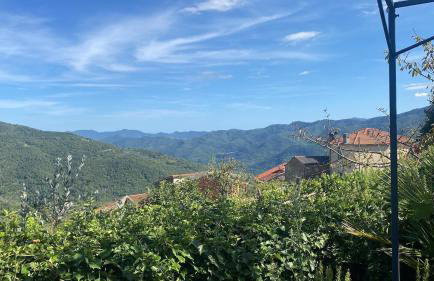 Ferienhaus Casa Pino mit eingezäuntem Garten in Ligurien zur Alleinnutzung - Foto 28