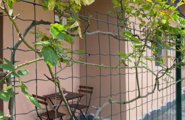 Azalea Appartamenti - Foto 30