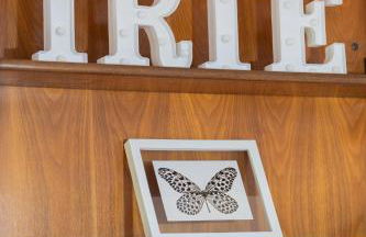 Irie - baskeyrentals - Foto 21