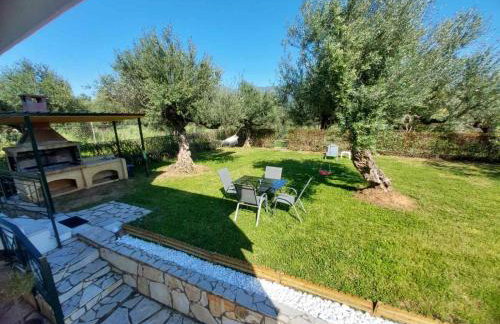 Olive Harmony House - Foto 6