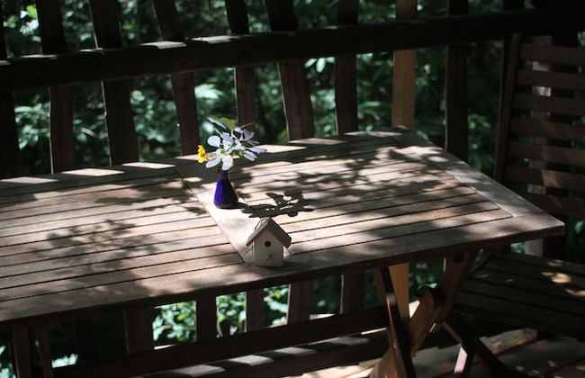 Ô bois dormant - Foto 34