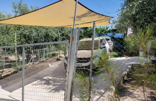 Thalantheia House - Photo 22