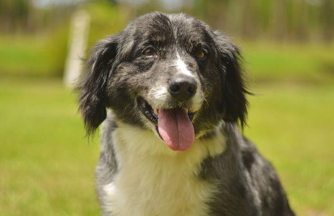 Hotel Acqua Lokos - Foto 46