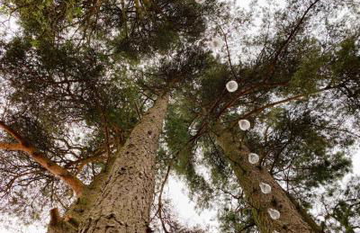 Lovely Semi-rural Caravan & Hot Tub - Sleeps Fam 6 - Photo 45