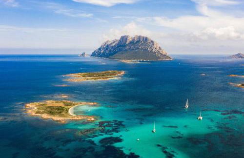 Seafront Villa - 5min to BRANDINCHI I Exclusive Garden I Private Beach I BBQ I Wi-Fi - Foto 41