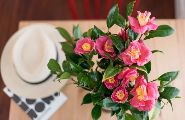 Casa Do Mercado - Foto 69