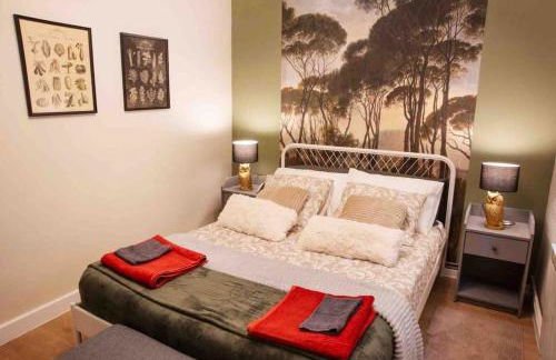 La casa del elefante - Foto 20