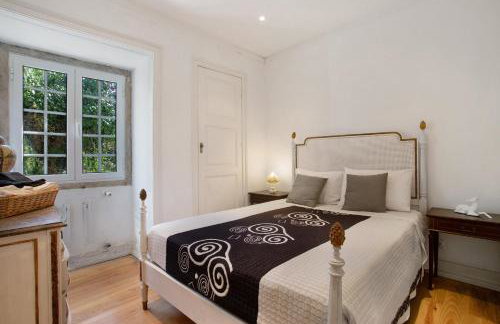 Quinta Correio Mor - Photo 16