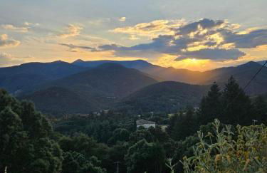 Perched Nest in Cevennes Mountains, relaxing place - Photo 49