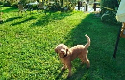 Agriturismo Podere Le Palaie - Foto 2