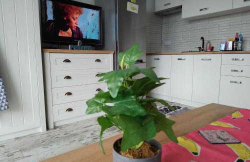 Dreapart Pruszcz gdański - Foto 18