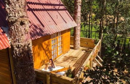 Casa na árvore com banheira, piscina, trilha, cavalo - Foto 34