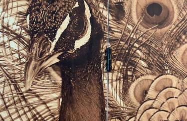 Il Giardino Segreto Gardasee Ferienhaus - Foto 12