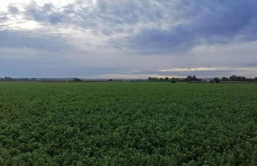 Chalet in Rivero de Posadas with Pool - Foto 17