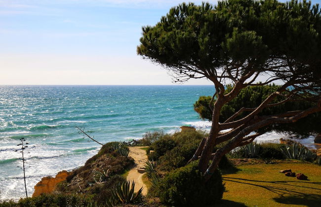 Vila Aldeamento do Levante - Foto 17