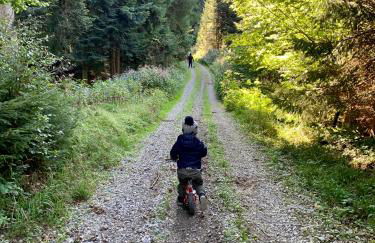 Ferienwohnungen mama ELVA - Foto 18