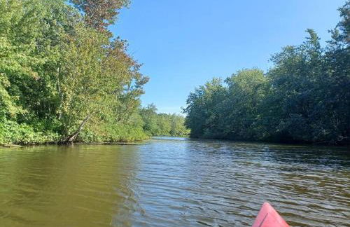 Sunrise Views Cabin with King Bed, Bar & Game Room - Foto 37