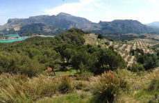 Finca Las Morenas - Foto 32